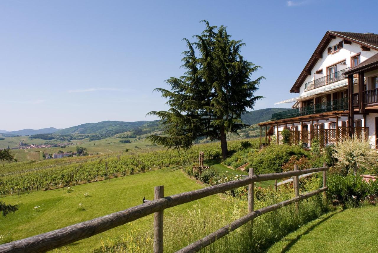 Le Clos Saint-Vincent Рибовиль Экстерьер фото